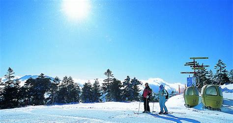 Naeba Ski Resort | Honshu, Japan | Deals & Book - Scout