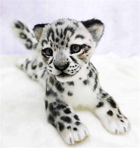 SNOW LEOPARD CUB Plush Toy, Stuffed Toy Tiger, Custom Plush Toy, Cat Lover Gift, Wild Cat Toy ...