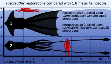 What happens when a non-accredited paleontology fan blogs: Species That Don't Get Enough ...