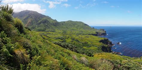 Tristan da Cunha Wildlife News: 2019 Gough Island mouse eradication project announced