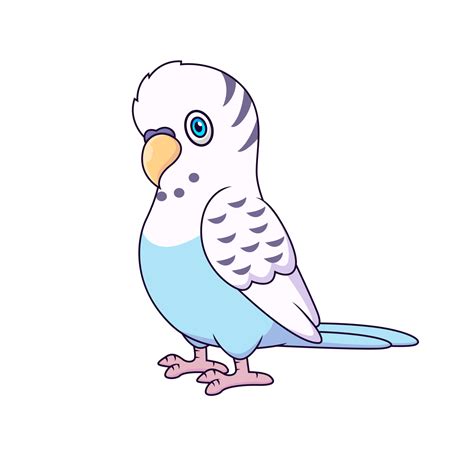 Cute budgie cartoon. Parakeet cartoon. Vector illustration 10806684 Vector Art at Vecteezy