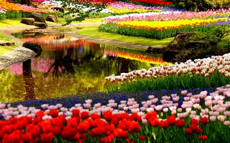 Garden Wallpapers | Best Wallpapers