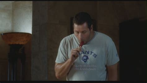 Sandler in Funny People - Adam Sandler Image (19233192) - Fanpop