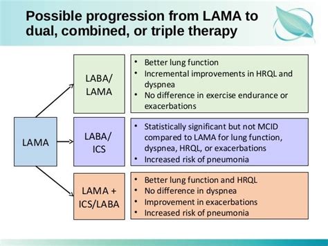 Module 4 lama lab_as