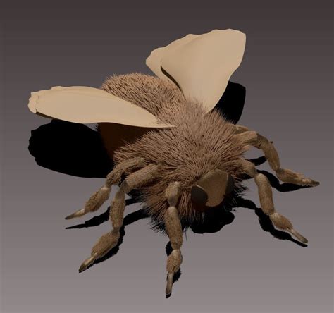 ArtStation - Poodle Moth