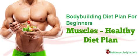 Bodybuilding Diet Plan For Beginners : Article Hot