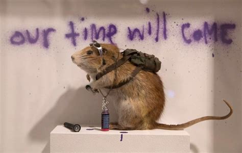 Sewer Rats in Los Angeles Becoming Sentient | Immediate Safety