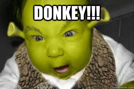 Donkey Shrek Meme