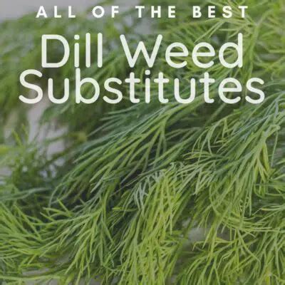 Best Dill Substitute (13 Amazingly Easy To Use Alternatives For Cooking!)