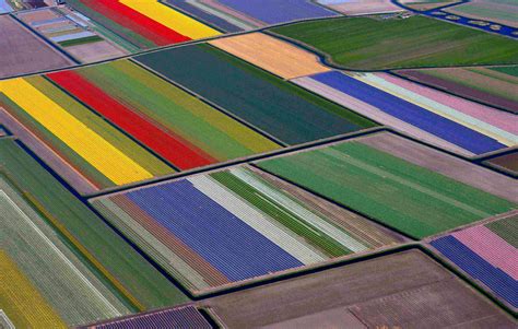 Tulip Fields Aerial Photos Netherlands | Time