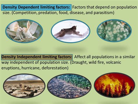 Density Dependent and Independent Limiting Factors - Quizizz