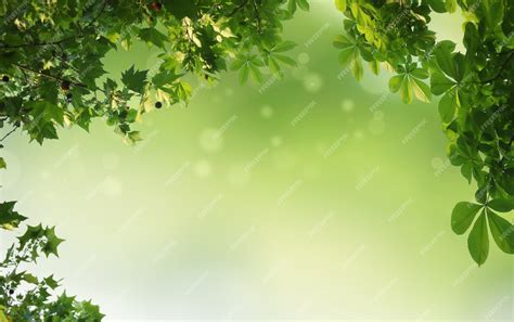 Premium Photo | Green natural background, greenery background