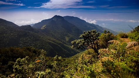 Horton Plains National Park | | Sights - Lonely Planet