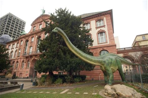 Musée de la nature de Senckenberg, Francfort-sur-le-Main, Allemagne ...