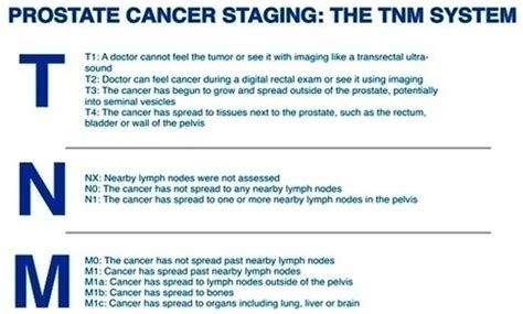 Austin Cyberknife Prostate Cancer Staging Image - Graph Diagram