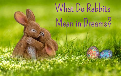 How to Interpret the Meaning of Rabbits in Dreams | HubPages