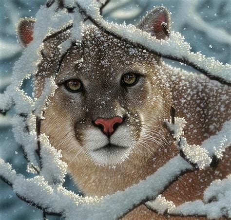 realistic paintings of animals ~ Art Craft Gift Ideas