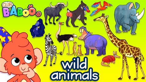 Wild Animals Pictures With Names For Kids Wild Animals