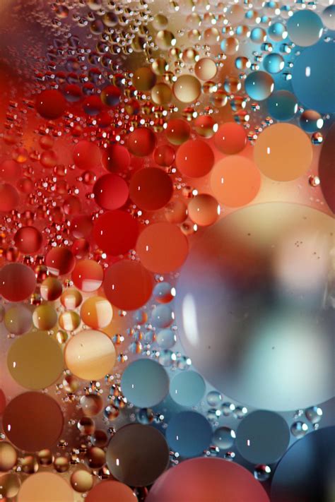 Free Images : water, abstract, petal, pattern, color, floating, colorful, yellow, toy, circle ...