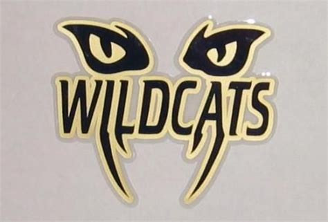 Wildcat Spirit School Logo And Branding 367