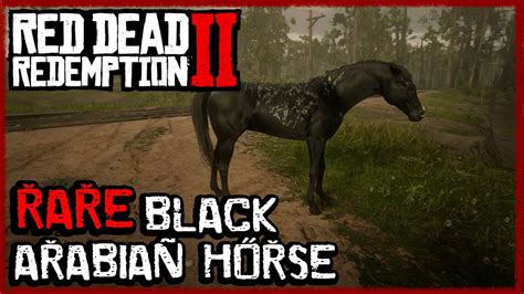 Red Dead Redemption 2 Get Rare Black Arabian Horse In Chapter 2 For ...