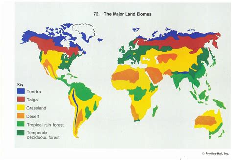 50 World Biome Map Coloring Worksheet