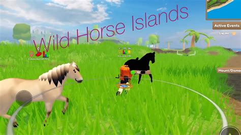 MORE HORSES//ROBLOX//Wild Horse Islands EP8 - YouTube