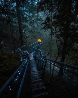 Treetops Adventure & Cliffwalk - Capilano Suspension Bridge (North Vancouver) | ActiviFinder