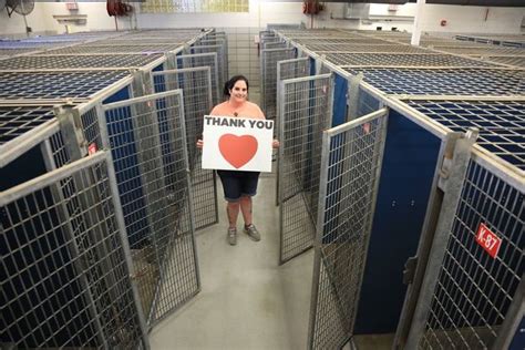 Photo Celebrates 310 Shelter Pets Finding Fur-Ever Homes In One Day | The Huffington Post