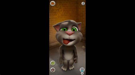 Talking Tom Cat | #1 Online Pet for PC