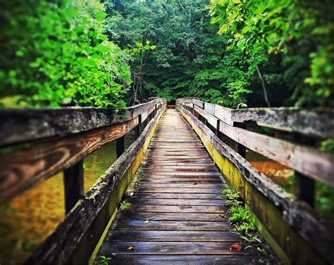 John Bryan State Park, Greene County, Ohio — by Amanda Cornelisse ...