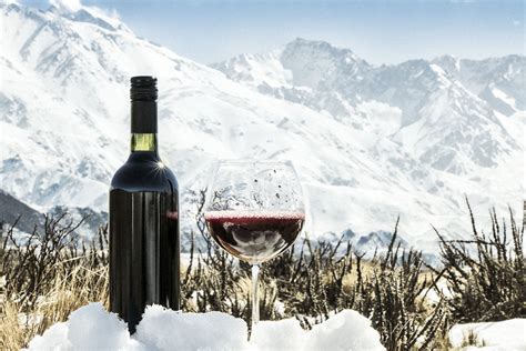 Red wines to warm you up these last few winter days | Quench Magazine