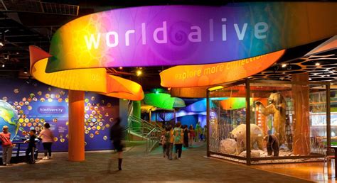 Discovery Place World Alive Exhibit Design | CambridgeSeven