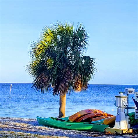 Cedar Key, FL 💚 : r/kayakfishing