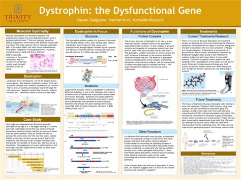 Dystrophin: the Dysfunctional Gene