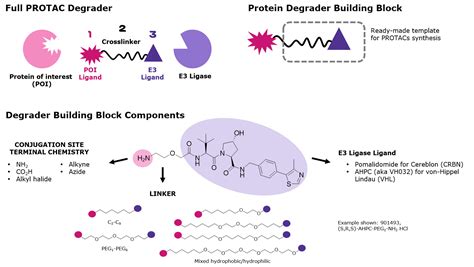 Degrader Building Blocks for Targeted Protein Degradation