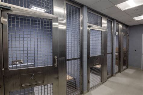 Hawaii Inmate Receives $60K for Jaw Injury in 2019 Maui Jail Riot ...