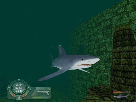 Download Shark! Hunting the Great White (Windows) - My Abandonware