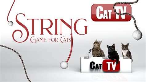 CAT TV Games | It's All About the STRING! | String Game for Cats to ...