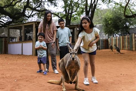 San Antonio Zoo Hours and Ticket Prices | Tour Texas