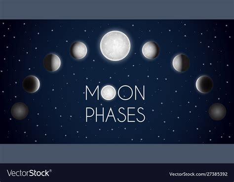 Moon phases night sky space astronomy the whole Vector Image