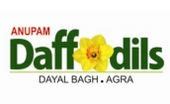 Anupam Housing Group Anupam Daffodils Map - Dayal Bagh, Agra Location Map