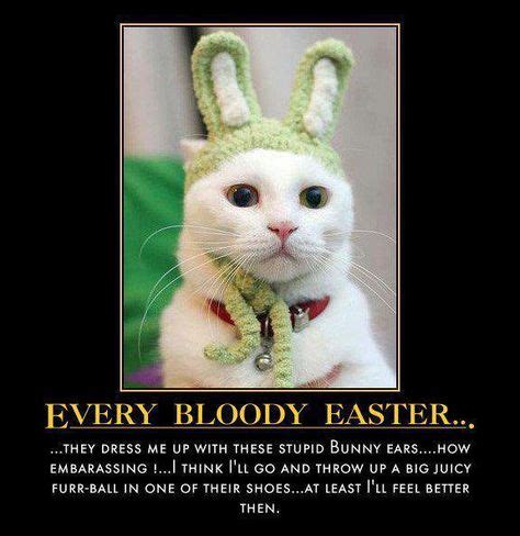 Funny Happy Easter Bunny Jokes - Bing Images | Easter humor, Happy easter funny, Easter bunny jokes