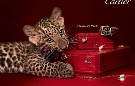 Cartier Wallpapers - Top Free Cartier Backgrounds - WallpaperAccess