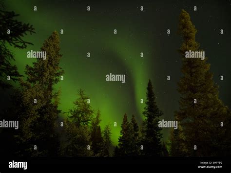 Sept. 18, 2014 - Natuashish, Newfoundland and Labrador, Canada - The Aurora Borealis, or ...