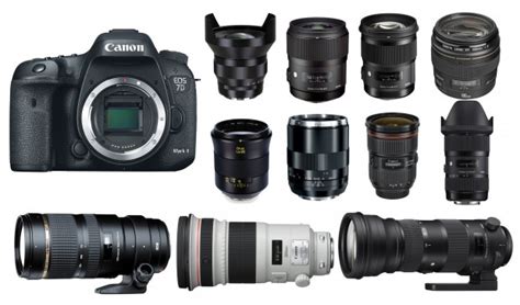 Best Lenses for Canon EOS 7D Mark II | Camera Times