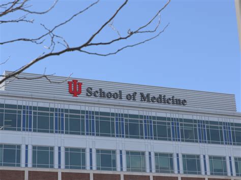 IU med school shuts down research project that used expired supplies on pigs – Indianapolis ...