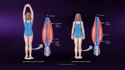 How To Help Sore Muscles From Working Out - Tomrelation7