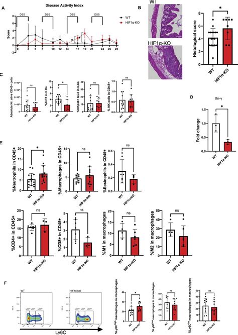 The transcription factor HIF-1α in NKp46+ ILCs limits chronic intestinal inflammation and ...