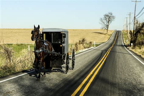 Exploring Amish Country: The Best Things to do in Lancaster, Pennsylvania - offMetro NY